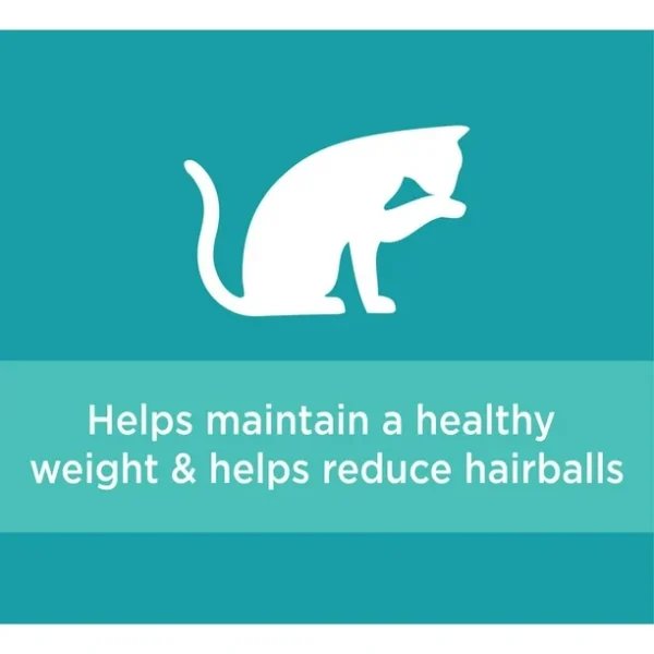 Lams Proactive Health Indoor Weight & Hairball Care with Chicken & Turkey Adult Dry Cat Food,1,59kg - Image 4