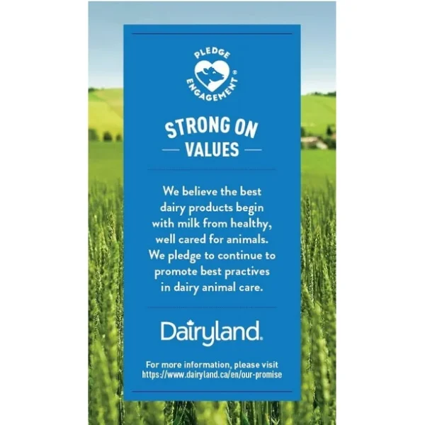 Dairyland skim milk, 1L - Image 3